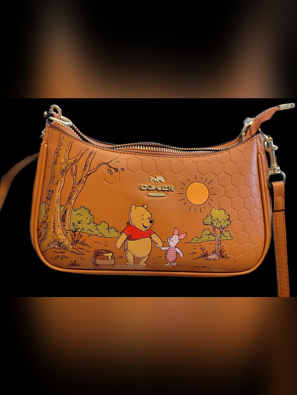 COACH X Disney Winnie the Pooh Brown Leather Shoulder Bag